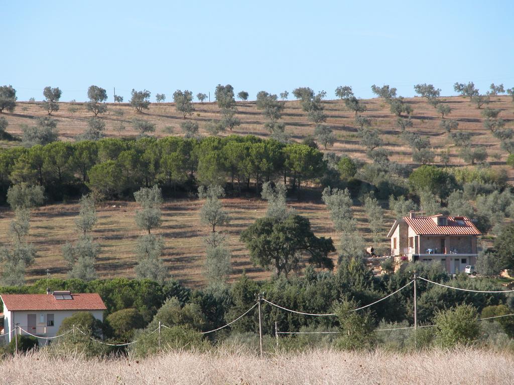 Agriturismo San Lino-Gilberto Massa Marittima Exterior foto