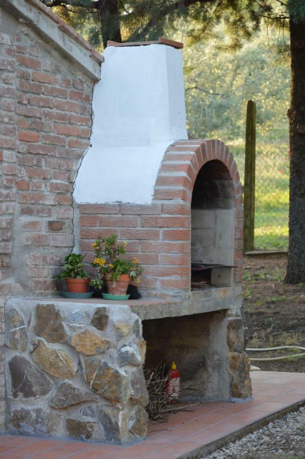 Agriturismo San Lino-Gilberto Massa Marittima Exterior foto